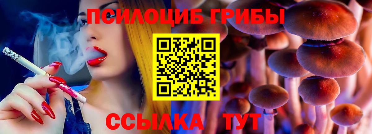 Дедовск  Псилоцибиновые грибы Psilocybine cubensis  закладки  Вход с VPN 